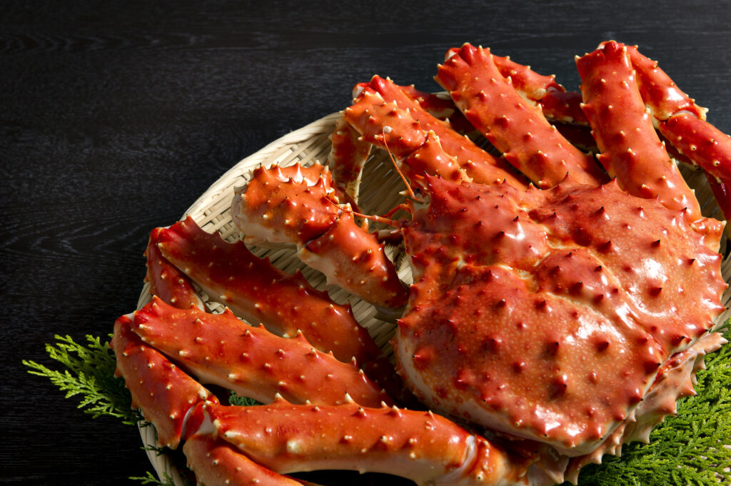 人気商品ランキングTOP3